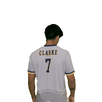 Clarke Mens Soccer Sticker by Clarke University
