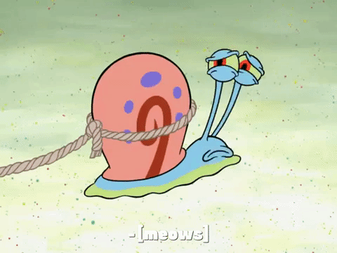 season 7 episode 13 GIF by SpongeBob SquarePants