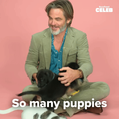 So many puppies