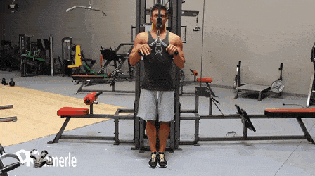 BamBamDoubleBB giphyupload cable tricep pushdown v bar GIF