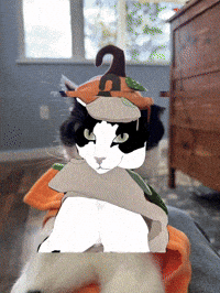 Cat Halloween GIF