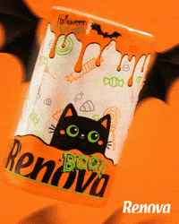 Trick Or Treat Cat GIF by MyRenova