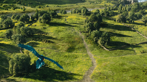 Dolitte Movie GIF by Dolittle