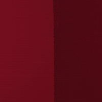 Womens Soccer Go Cards GIF by Louisville Cardinals