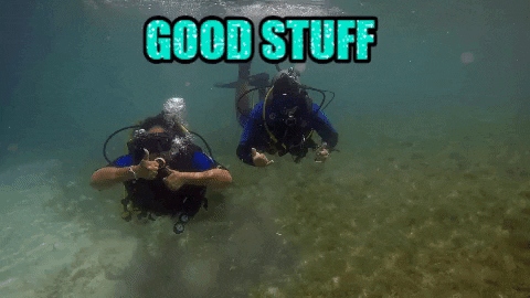 Travel Vacation GIF by Santa Barbara Beach & Golf Resort Curacao