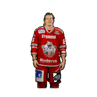 Hockey Del2 Sticker by Eisbären Regensburg
