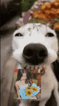 ohh_yogesh ohhyogesh pookie saloni GIF