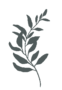 Leaf Sticker
