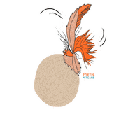 Cat Toy Sticker by Zoetis Petcare