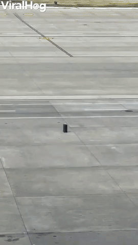 Runaway Luggage Rolls Across Airport Ramp