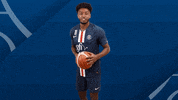 James Harden GIF by Paris Saint-Germain Handball