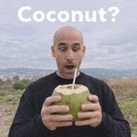 Coco Coconut GIF