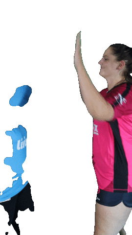 Noisyhb Sticker by Noisy Le Grand Handball