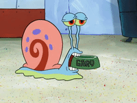 season 8 GIF by SpongeBob SquarePants