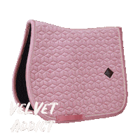 Horses Velvet Sticker by Kentucky Horsewear