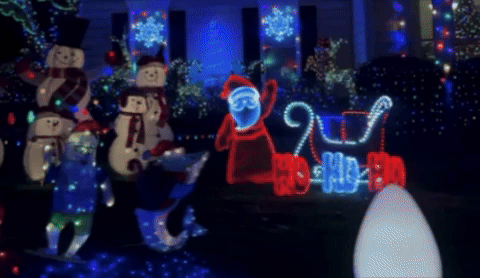 barilladm1 giphyupload GIF