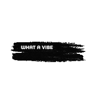 definitelyavibe what a vibe definitelyavibe Sticker