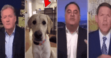 Who Is He Red Arrow GIF