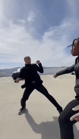 Elnebro peleas GIF