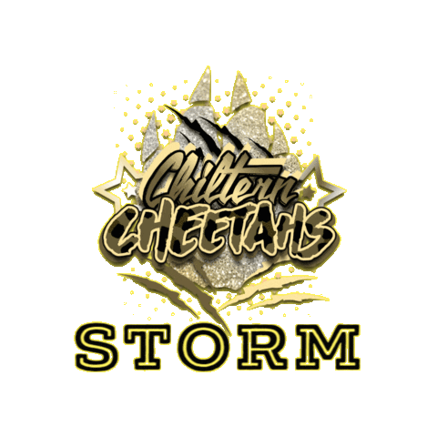 Storm Cheerleading Sticker by Chiltern Cheetahs
