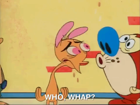 ren and stimpy nicksplat GIF