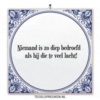 Nl Spanning GIF by Tegelspreuken.nl
