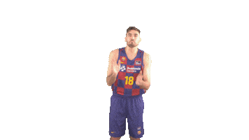 Fc Barcelona Basketball Sticker by ACB