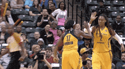 erica wheeler sport GIF by Indiana Fever
