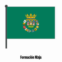 Flag Spain GIF by Formación Ninja