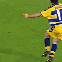 Goal Godo GIF by Parma Calcio 1913