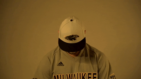 Mke GIF by Milwaukee Panthers