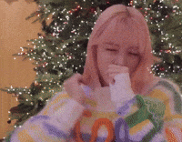 Merry Christmas Lily GIF
