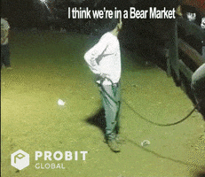Bear Invest GIF by ProBit Global