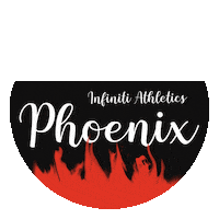 Fire Phoenix Sticker by iNFiNiTi  Athletics