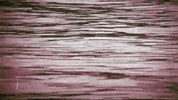 Video Art Film GIF