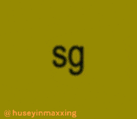 Sg Turkish GIF