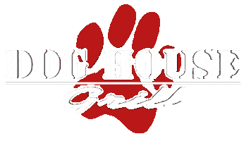 DogHouseGrillFresno beer salad french fries onion rings Sticker