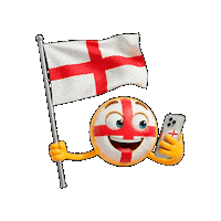 Emoji Fans Sticker by WhatsApp SIM