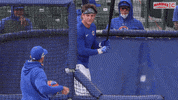 Chicago Cubs GIF by Marquee Sports Network