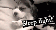 sleepy GIF