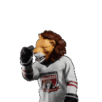 Hockey Hokej Sticker by Tipsport extraliga