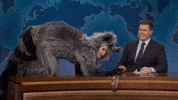 Snl GIF by Saturday Night Live