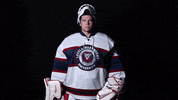 lmuicehockey hockey lions goalie icehockey GIF