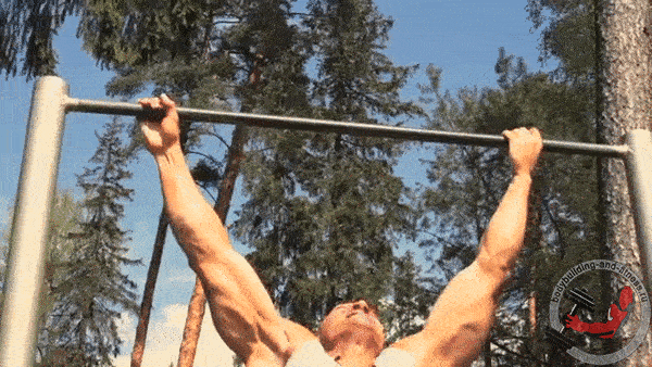 bodybuilding-and-fitness giphyupload GIF
