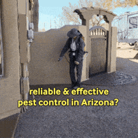 Paul Davis GIF by Patriotic Pest Solutions