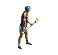 bge hurling Sticker by Bord Gáis Energy