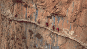el capitan rock climbing GIF by Madman Films