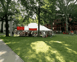 harvard yard college GIF by Harvard University