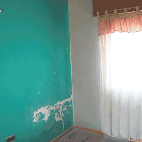 julimfons giphyupload GIF