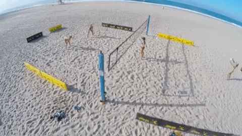 april ross volleyball GIF
